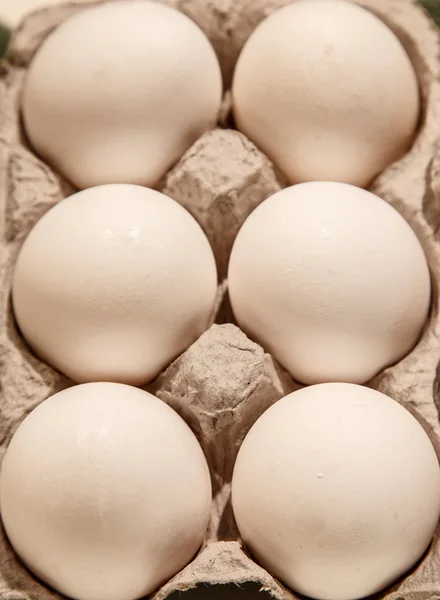 Six Eggs in Carton — Stock Photo, Image