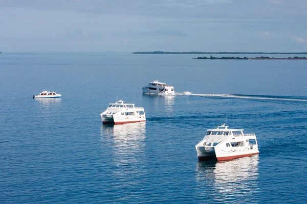 Three White Ferries on Calm Blue Water — Stock Photo, Image