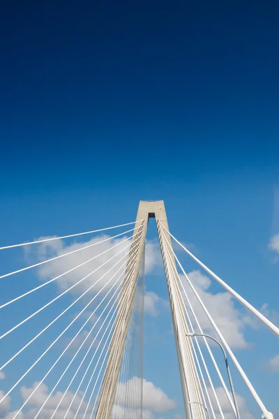 Cabos na ponte branca da suspensão — Fotografia de Stock