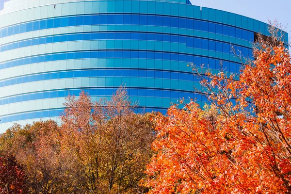 Zahnutá zelené a modré budově za podzimní stromy — Stock fotografie