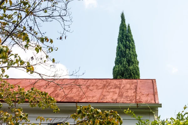 Koppar tak och cypress träd — Stockfoto