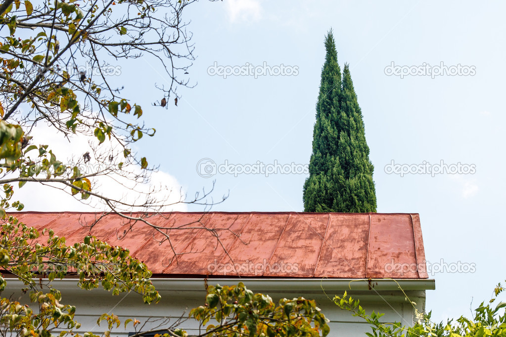Copper Roof and Cypress Tree
