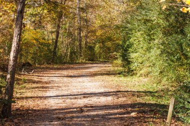 sonbahar woods ile geniş iz