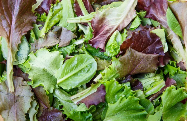 Gemischtes Gemüse und Salat — Stockfoto