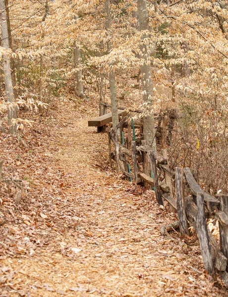 Sendero a través del bosque de invierno — Foto de Stock