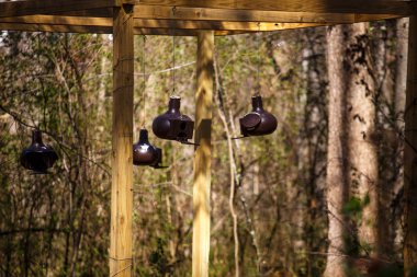 Birdhouses Hanging From Treated Lumber clipart