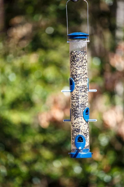 Alimentatore di uccelli pieno di semi nella foresta — Foto Stock