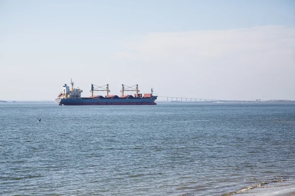 Pelikan taucht auf Baggerschiff — Stockfoto