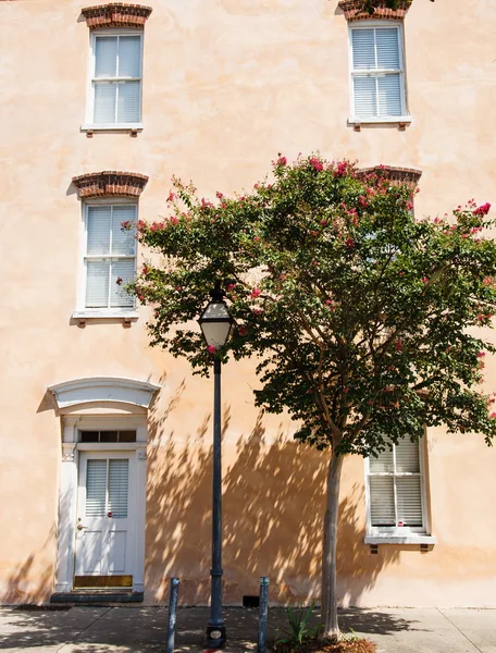 Crepe Myrtle by Lamp and Peach Stucco — Stock Photo, Image