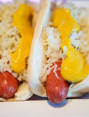 iki Alman köpeği hardal dikey