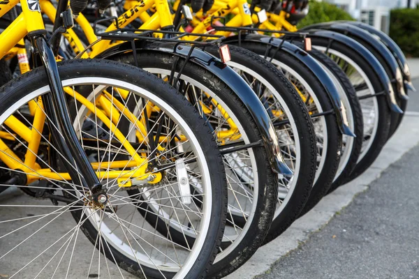 Fila di biciclette gialle — Foto Stock