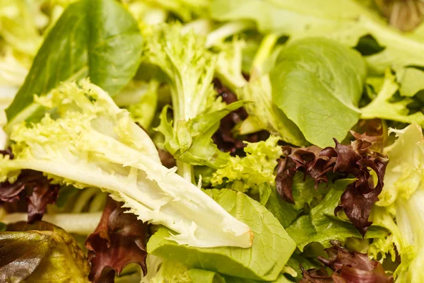 Mixed Greens Lettuce and Spinach — Stock Photo, Image