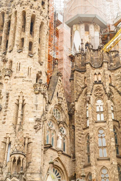 Ліси стійка на Sagrada Familia — стокове фото