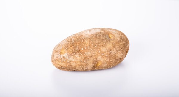 Single Potato on White Counter