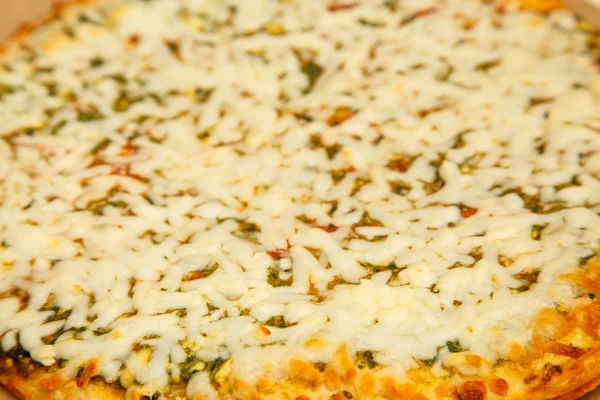 Toasty Cheese Pizza — Stock Photo, Image