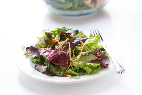 Groene salade op wit — Stockfoto