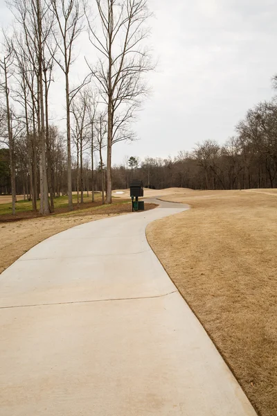 Gold Path Through a Winter Course — Stock Photo, Image