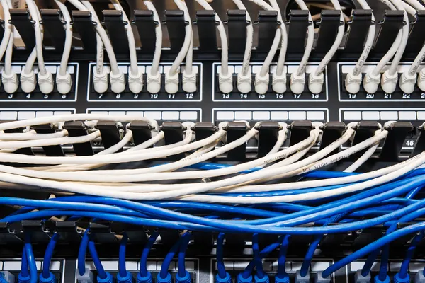 Blauwe en witte ethernet-kabels in patch deelvenster. — Stockfoto