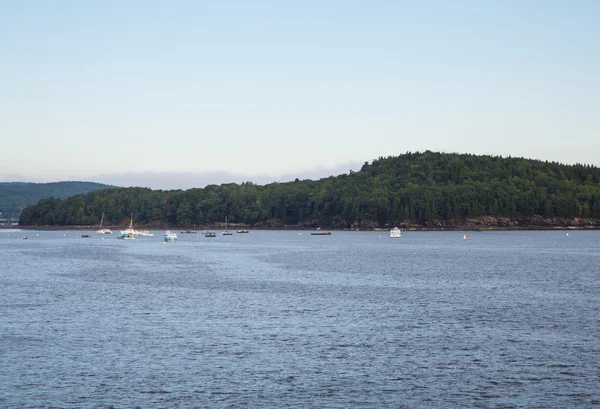 Barche da pesca ancorate al largo di Green Island — Foto Stock