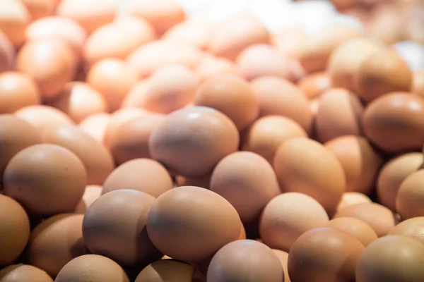 Many Brown Eggs Under LIght — Stock Photo, Image
