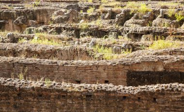 Coliseum kırık duvarların üzerinden büyüyen otlar