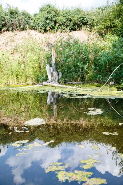 Reflection of Sky in Wetland Pond — Stock Photo, Image