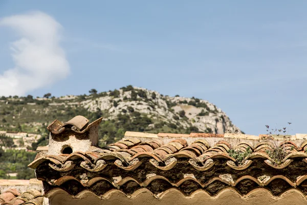 Weeds Growing in Clay Tile Pipe Roof — Stock Photo, Image