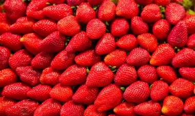 Bütün olgun çilek meyve pazarı içinde