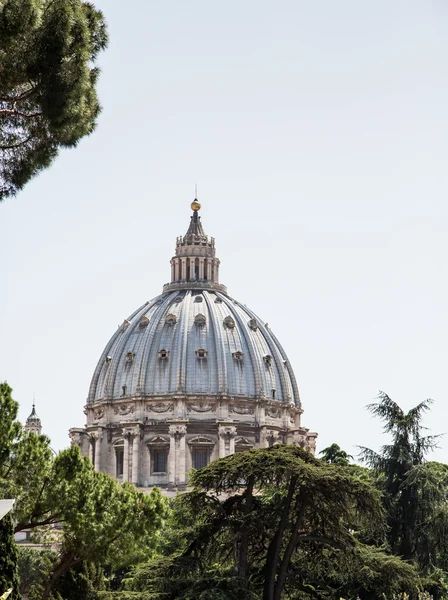 Ornate Dome of Saint Peters Basilica — Stock Photo, Image