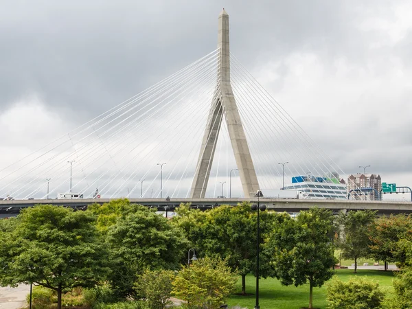 Ponte sospeso di Boston oltre alberi — Foto Stock