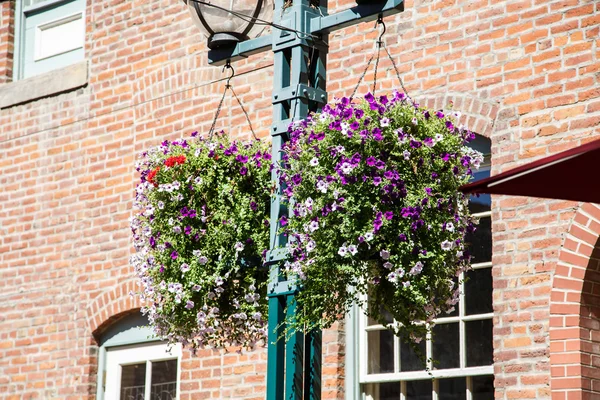 Paarse bloemen op lamp post door bakstenen muur — Stockfoto