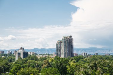 Denver ağaçlardan yükselen konut kuleleri