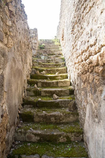 Vecchi passi coperti di muschio a Pompei — Foto Stock