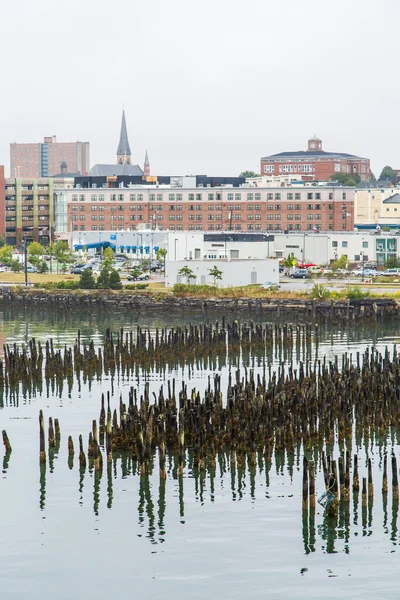 Pilings in Harbor with Portland in Background — Stock Photo, Image