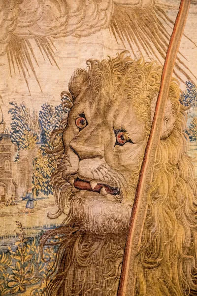 Лев у Ватикані — стокове фото