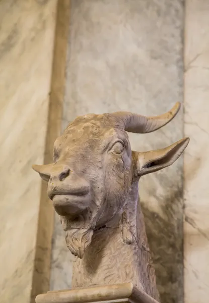 Goat Head Statue in Vatican — Stock Photo, Image