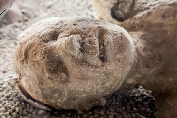 Menschliche Zähne in Pompeji-Mumie — Stockfoto