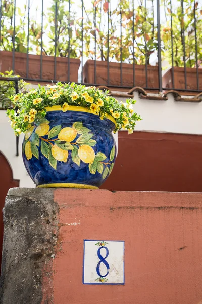 Otto in ceramica sotto vaso di fiori — Foto Stock