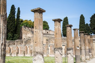 pompeii içinde çim çimen tarafından sütun satır