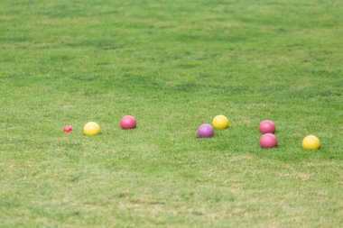 бочче барвисті кулі в зеленій галявині