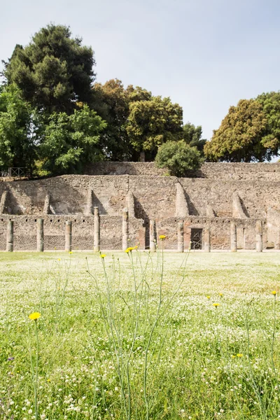 Pompeii çayır ile arka planda antik duvarlar — Stok fotoğraf