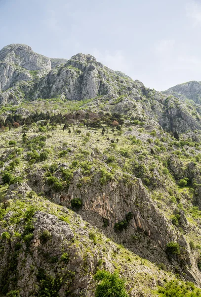 Rocky tepelerin üstündeki kotor, Karadağ — Stok fotoğraf