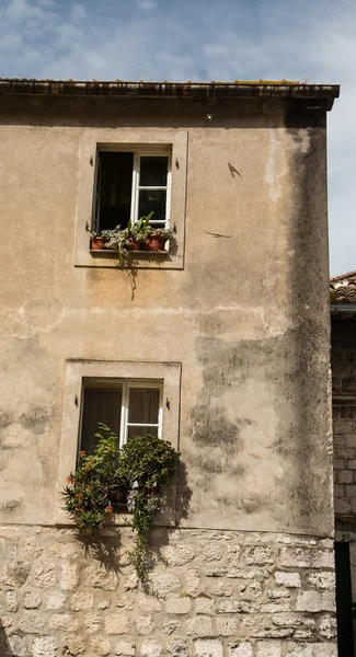 Planten in windows van oude gebouw — Stockfoto