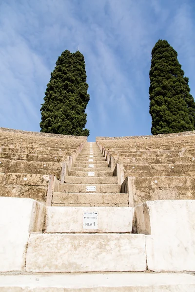 Два ели на амфитеатре Помпеи — стоковое фото