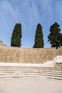 pompeii stadyum boyunca çam ağaçları