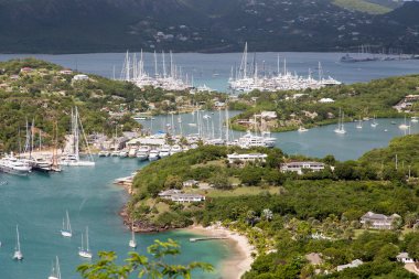 Yat havzasında antiqua