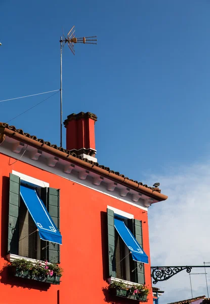 Oranje en blauw — Stockfoto