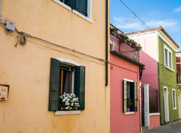 Boîtes à fleurs dans les maisons jaunes et rouges — Photo