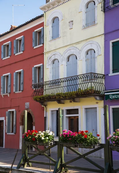 Bloembakken op kleurrijke burano thuis — Stockfoto