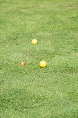 Sarı bocce top yeşil çimen